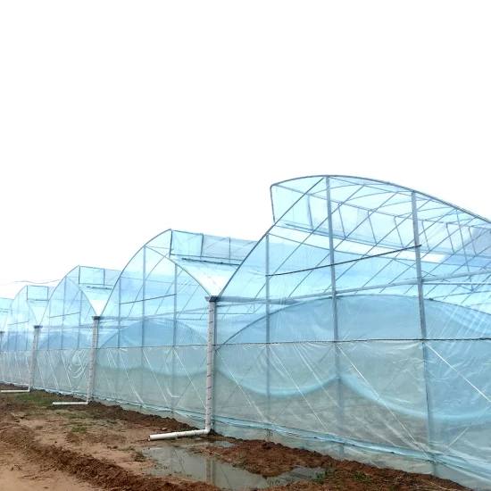 Filme plástico para estufa de hidroponia Multi Span usado em estufa agrícola com sistema de resfriamento/aquecimento (elétrico) com ventilador